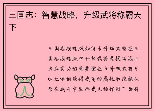 三国志：智慧战略，升级武将称霸天下